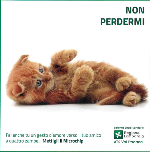 Immagine anteprima