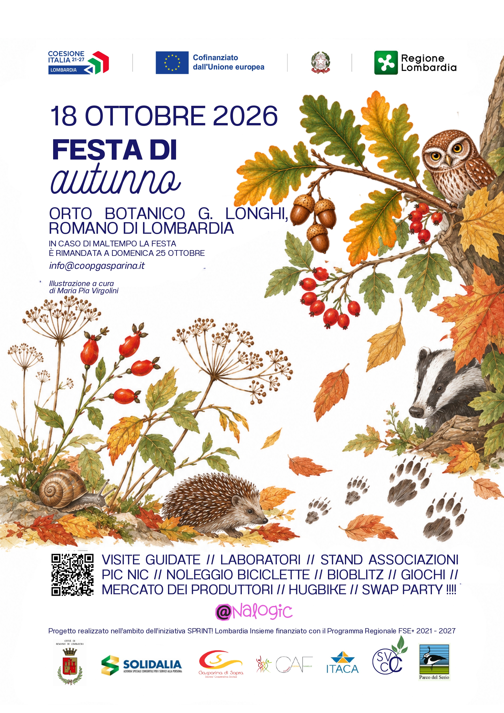 Immagine anteprima